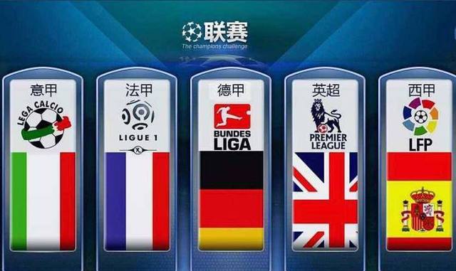 维德杯
